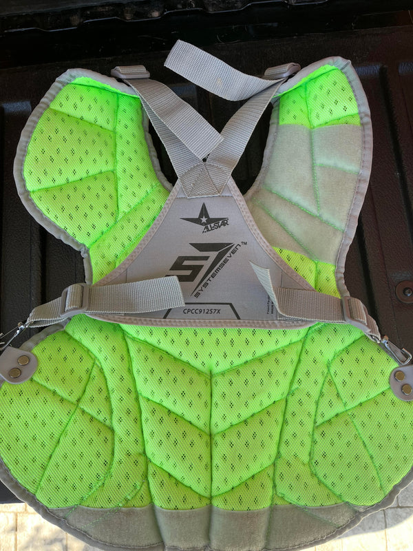 Chest Protector Rear View (example photo)