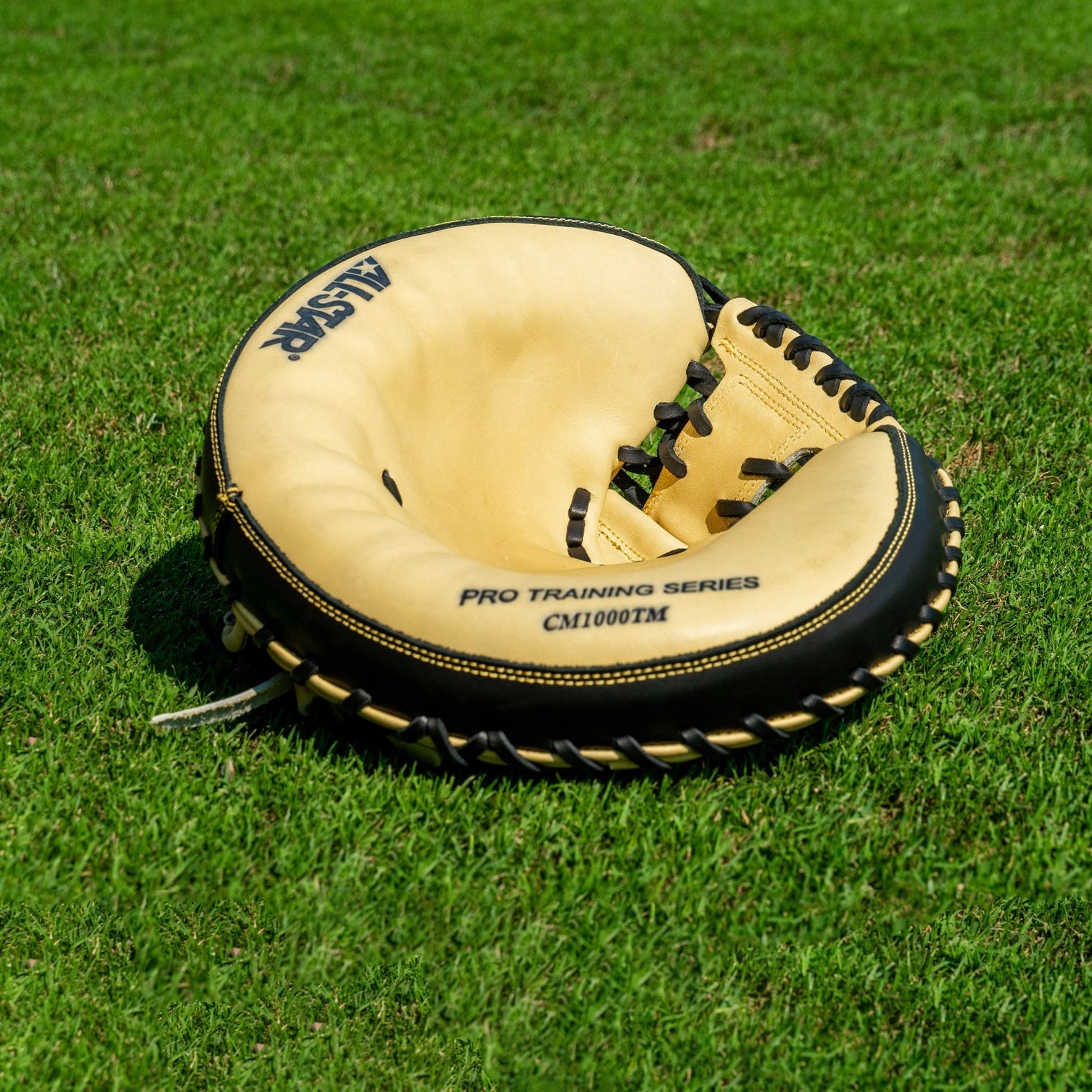 THE DONUT™ - 33.5" TRAINING MITT - All-Star Sports