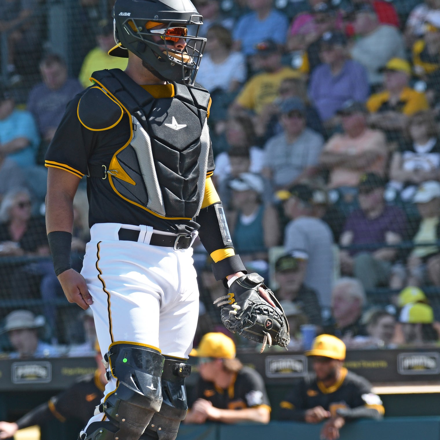 SOLID BLACK PRO-ELITE® CATCHERS MITT