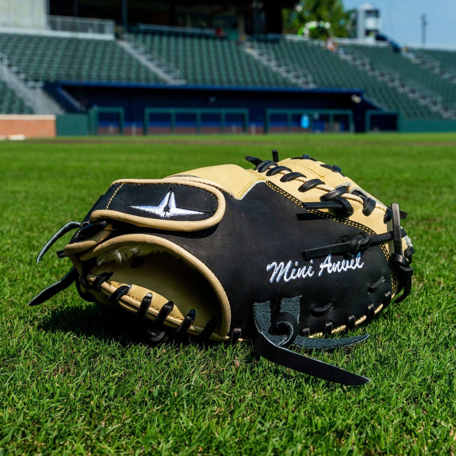 THE MINI ANVIL™ - 29" TRAINING MITT - All-Star Sports