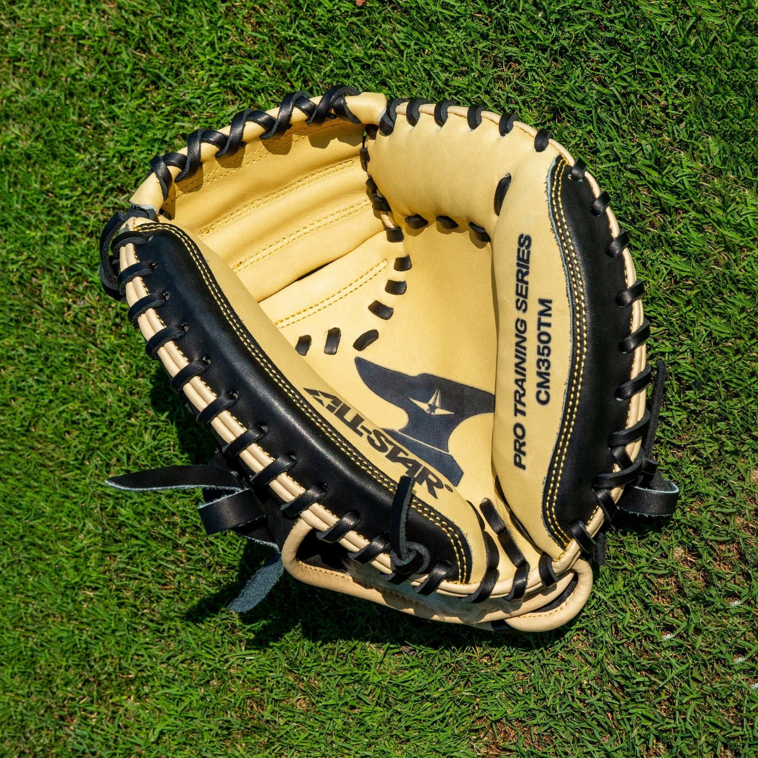 THE MINI ANVIL™ - 29" TRAINING MITT - All-Star Sports