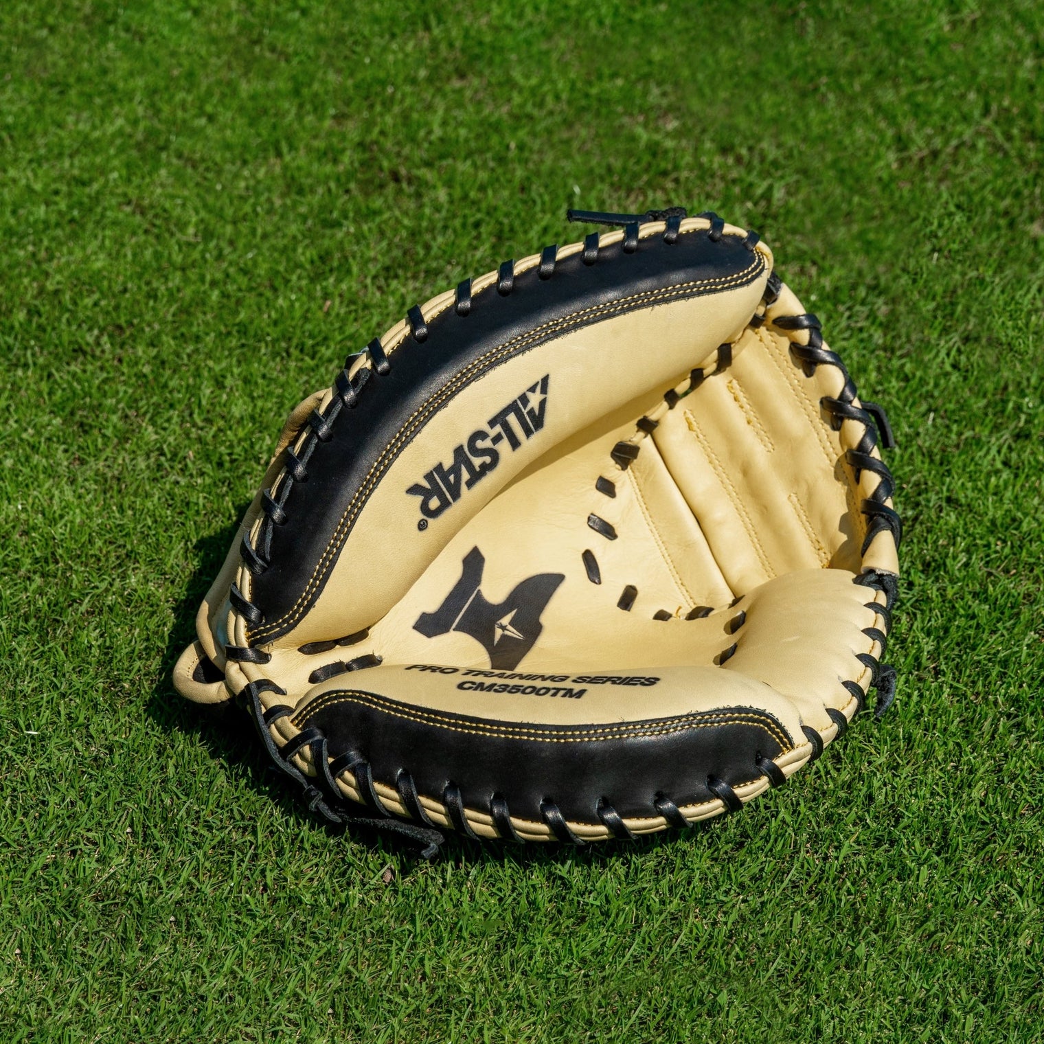 THE ANVIL™ - 33.5" WEIGHTED TRAINING MITT - All-Star Sports