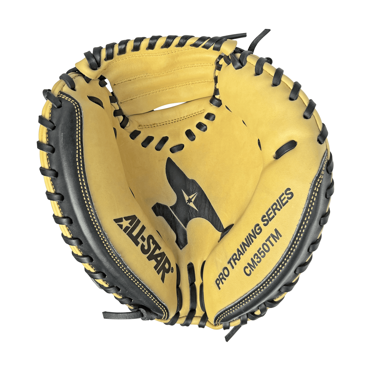 THE MINI ANVIL™ - 29" TRAINING MITT - All-Star Sports