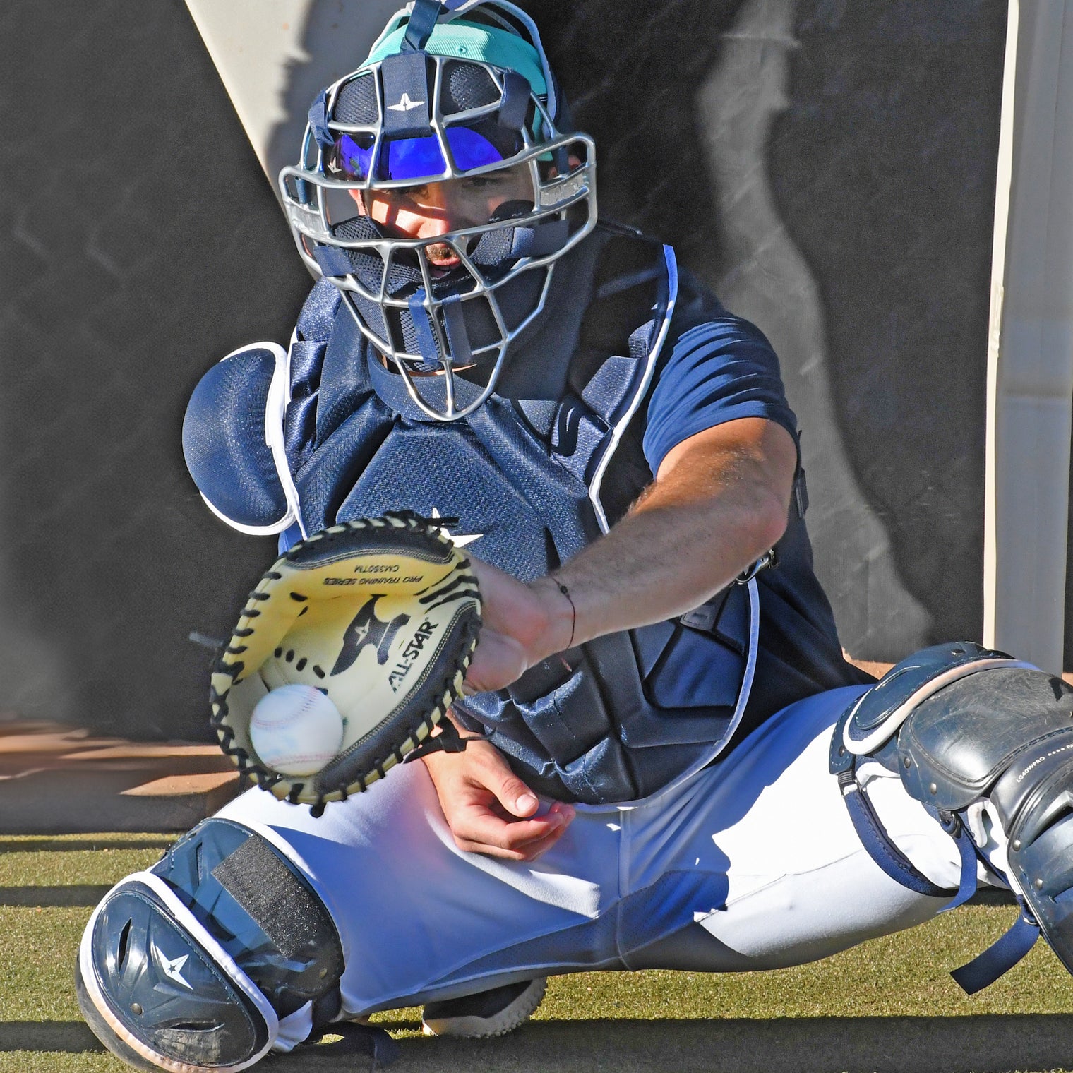 THE MINI ANVIL™ - 29" TRAINING MITT